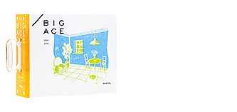 bigace24-26