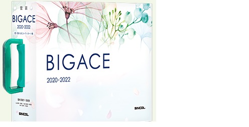 bigace_2020_2022